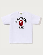 COLOR CAMO COLLEGE TEE MENS